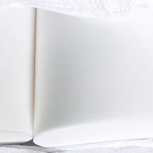 Nhựa TEFLON -Cây  120*1000MM